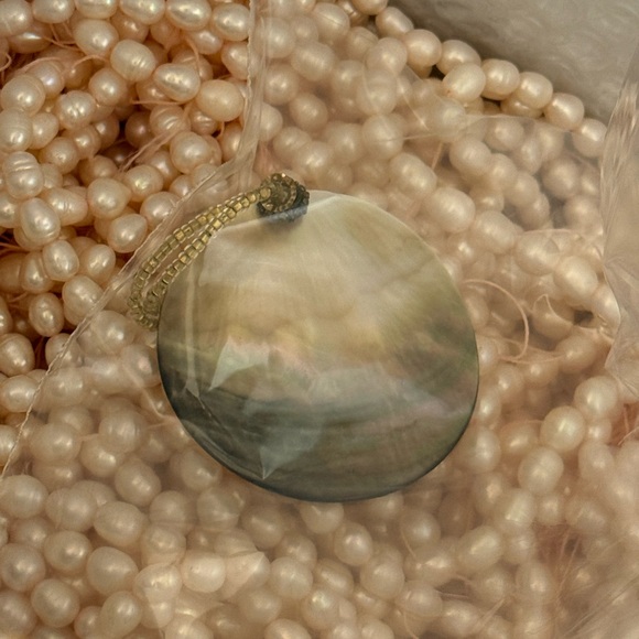 Ivy - Picture 8 of 15